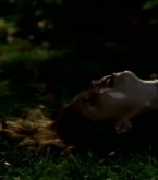 btvs3x07_0053.jpg